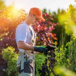 Reasons to Hire a Landscaper in Lafayette, LA